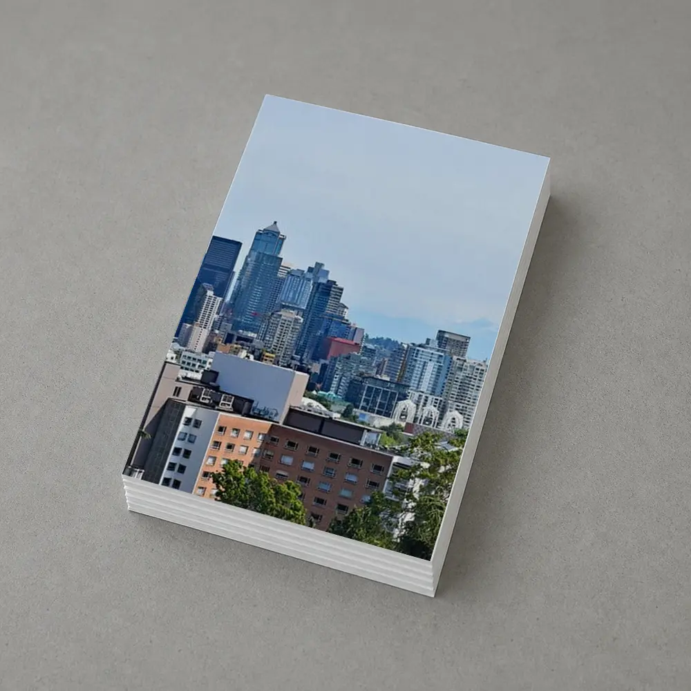 Seattle Space Needle Skyline Mount Rainier – Postcards