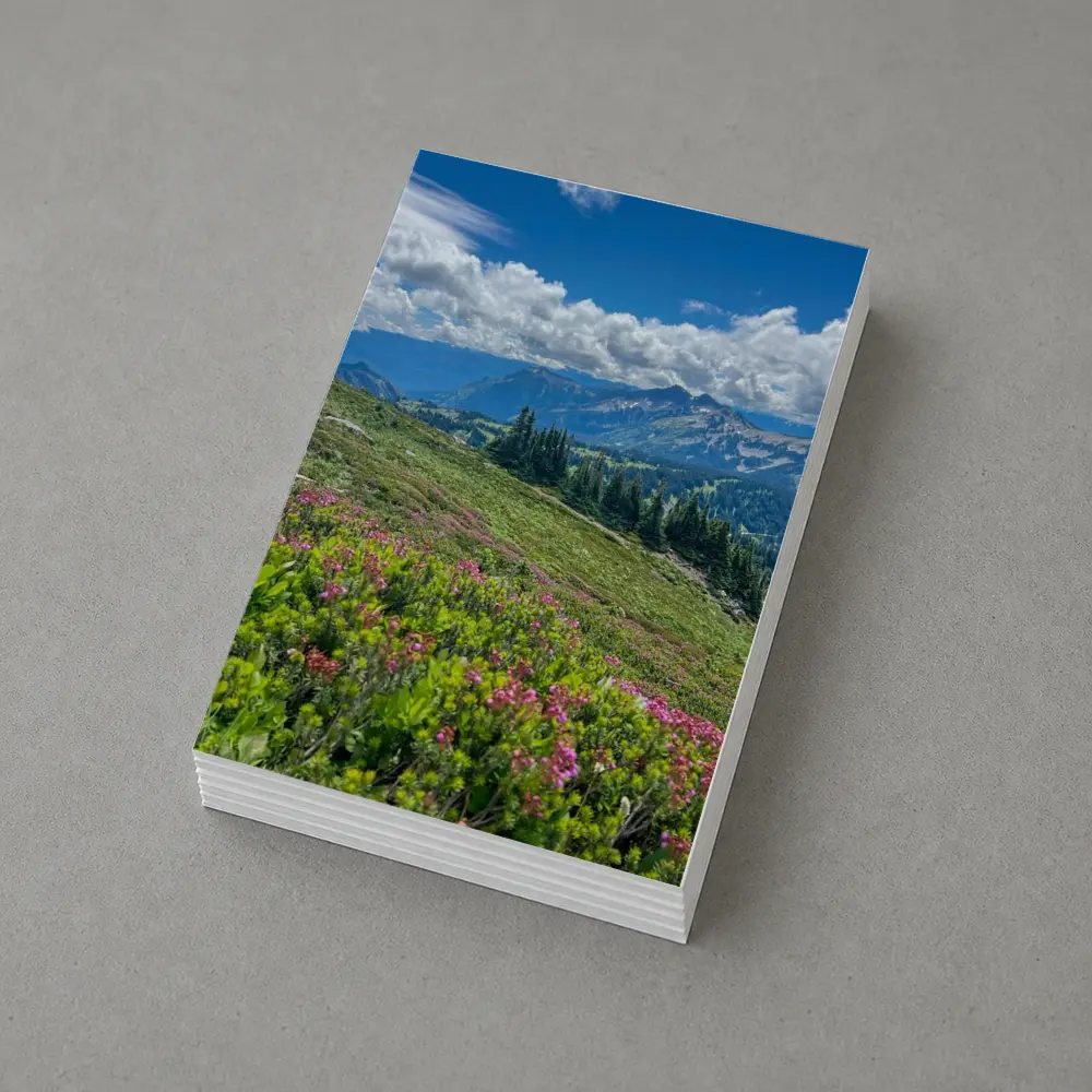 Alpine Wildflowers Meadow Mountain Landscape View – Postcards