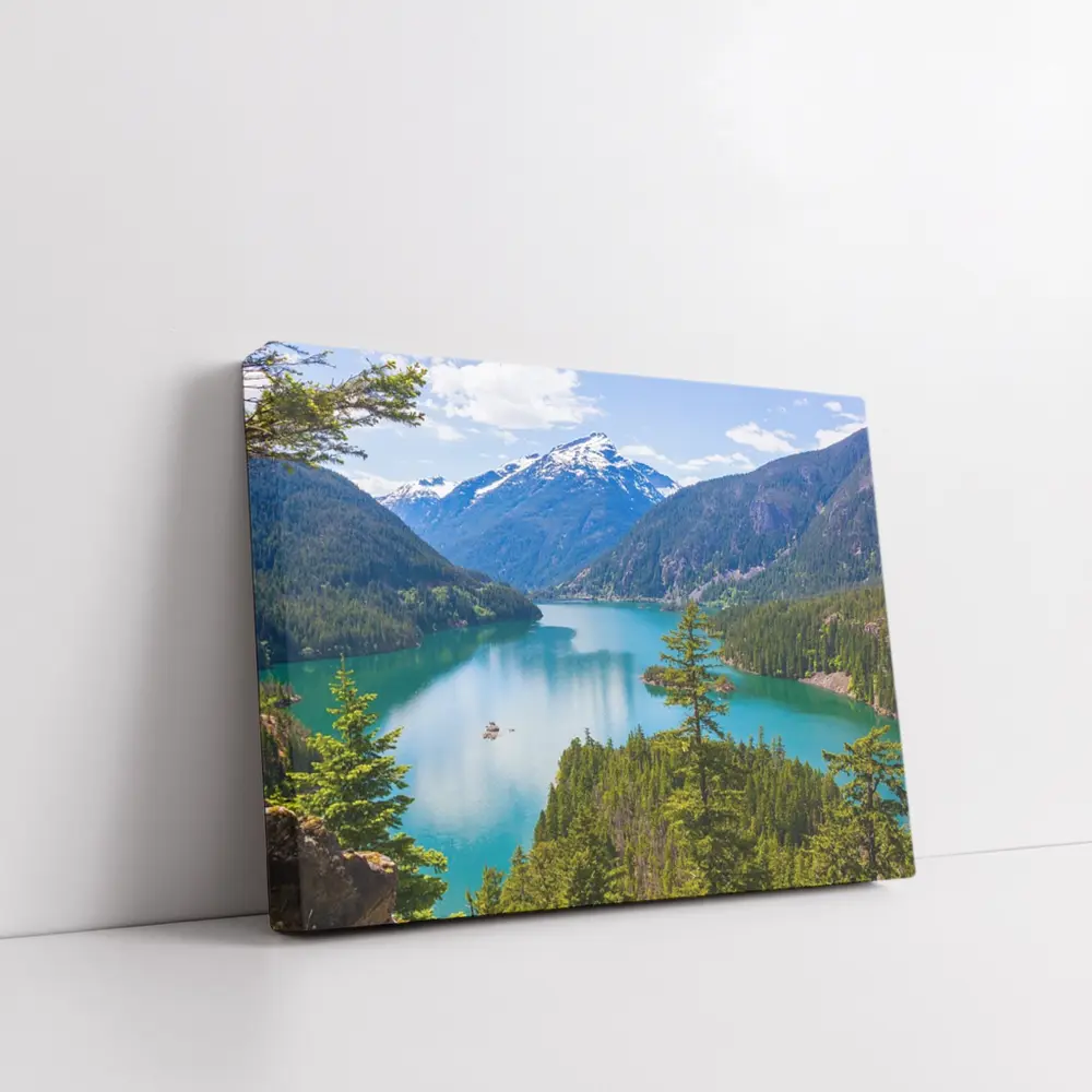 Turquoise Mountain Lake Forest Aerial View – Wall Art