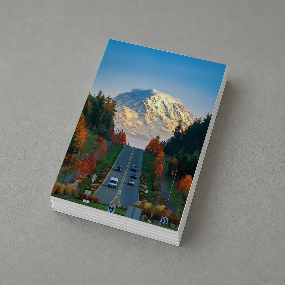 Mount Rainier Road Autumn Trees Washington – Postcards