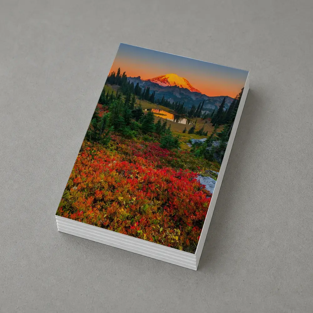 Mount Rainier Autumn Sunset Alpine Meadow – Postcards
