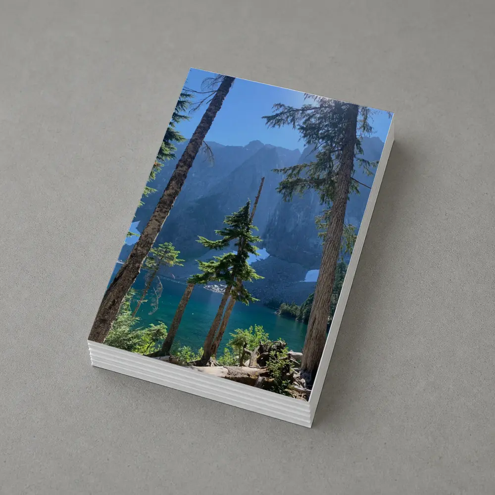 Alpine Lake Through Pine Trees Mountain – Postcards