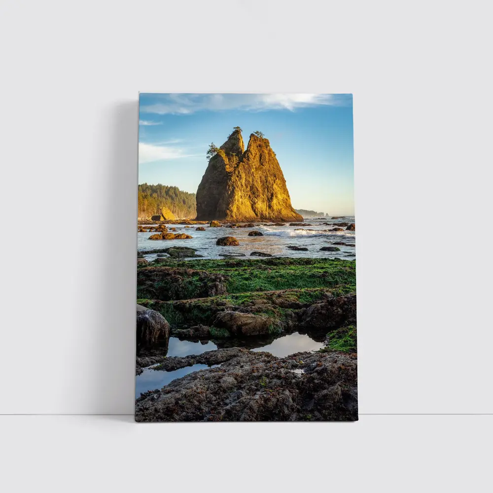 Sea Stack Rocky Coastal Beach Washington – Wall Art