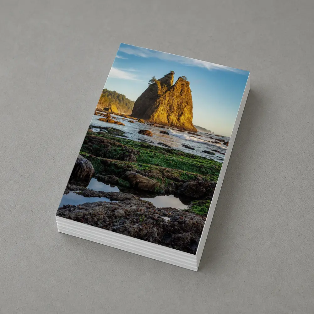 Sea Stack Rocky Coastal Beach Washington – Postcards