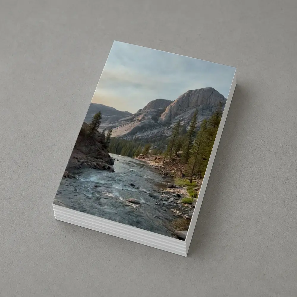 Mountain River Valley Pine Trees Landscape – Postcards