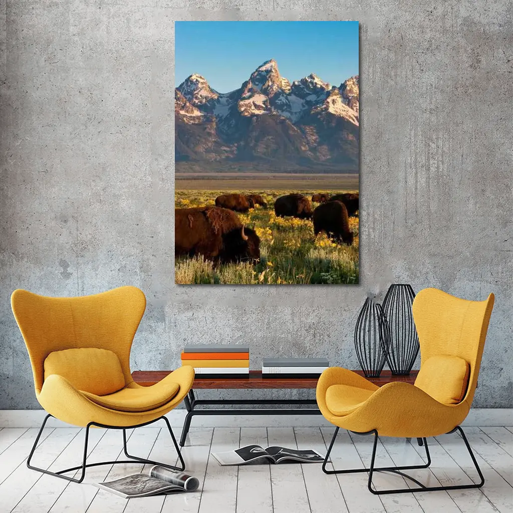 Bison Herd Grazing Grand Teton Mountains – Wall Art