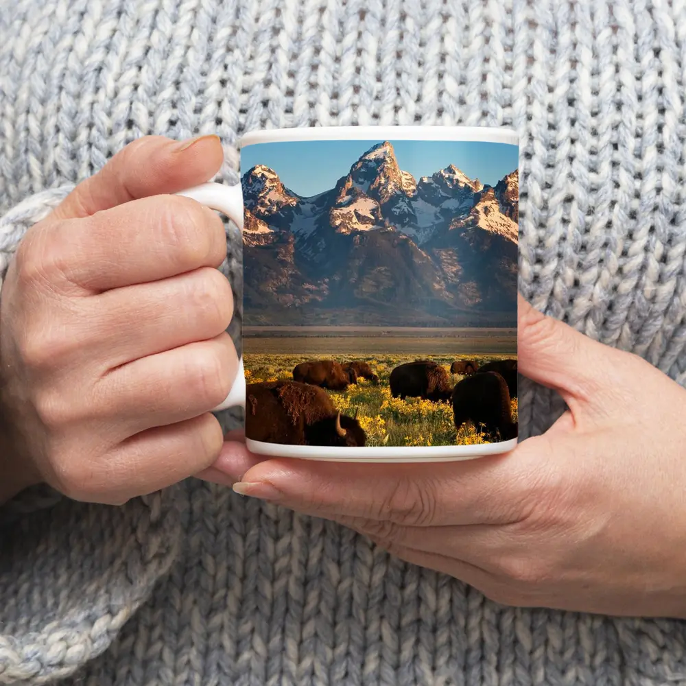Bison Herd Grazing Grand Teton Mountains – Mugs
