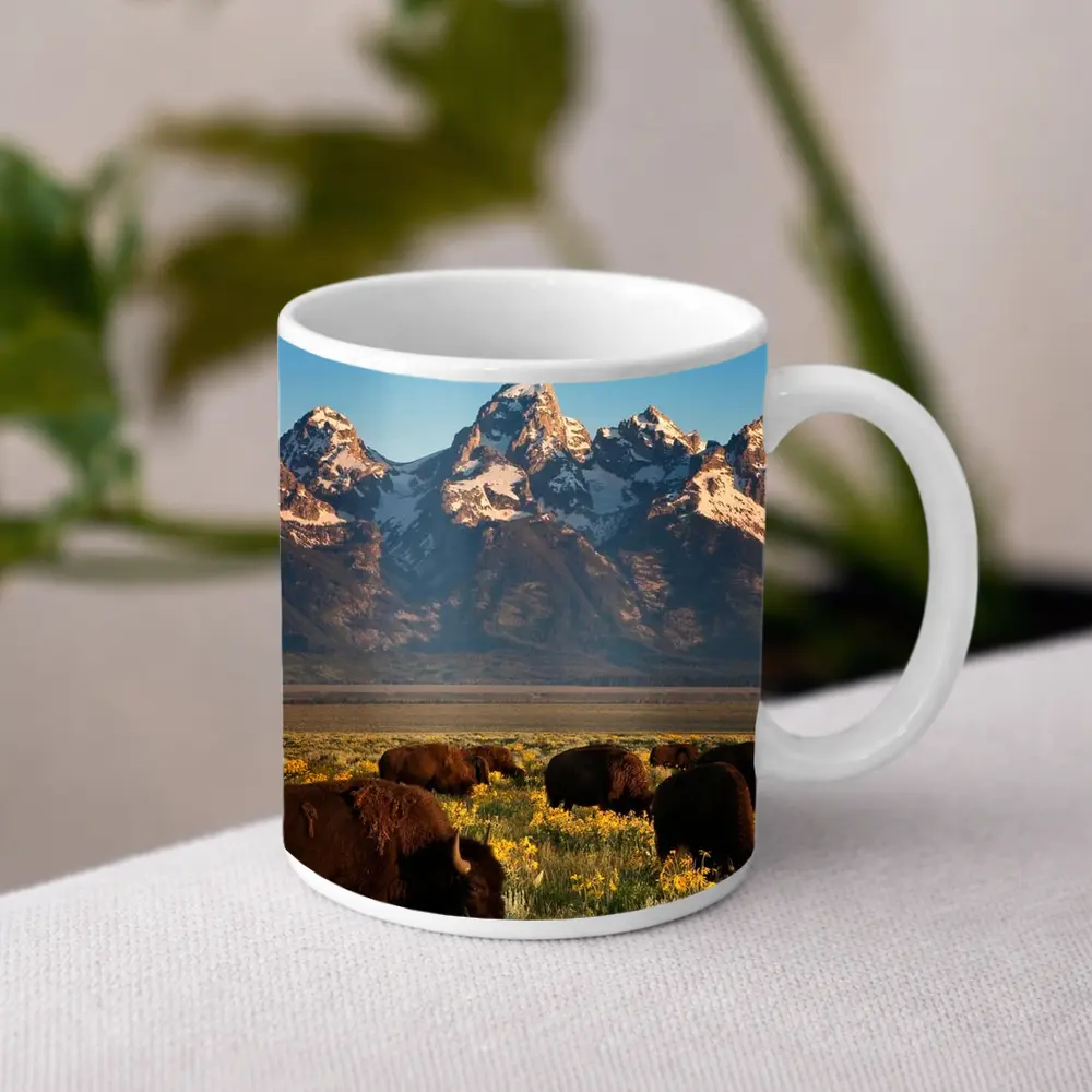 Bison Herd Grazing Grand Teton Mountains – Mugs
