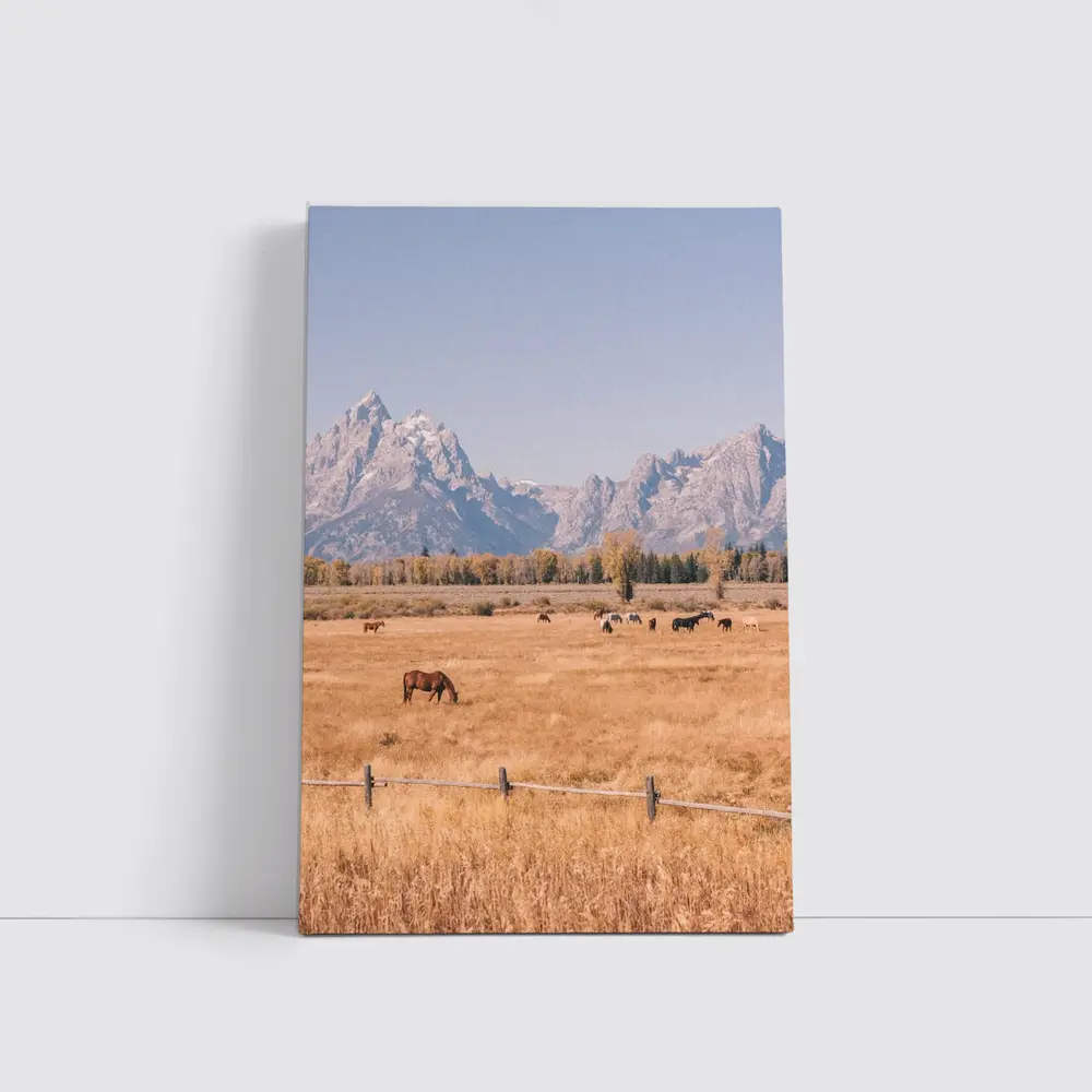 Horses Grazing Grand Teton Mountains Autumn – Wall Art