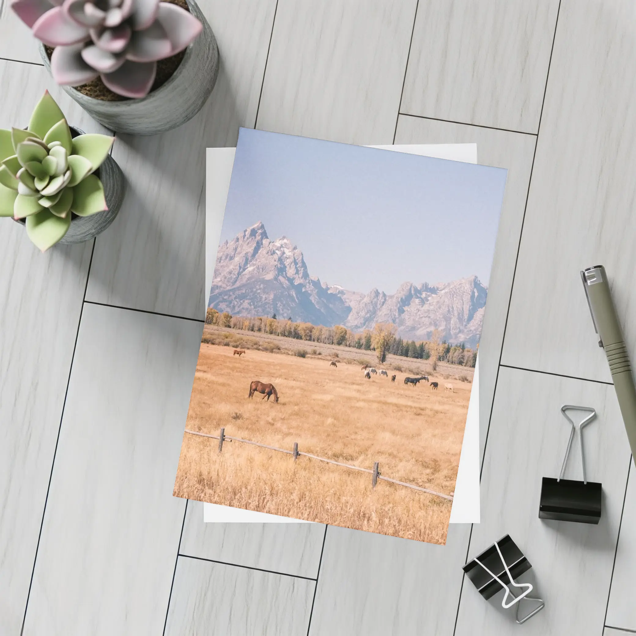 Horses Grazing Grand Teton Mountains Autumn – Postcards