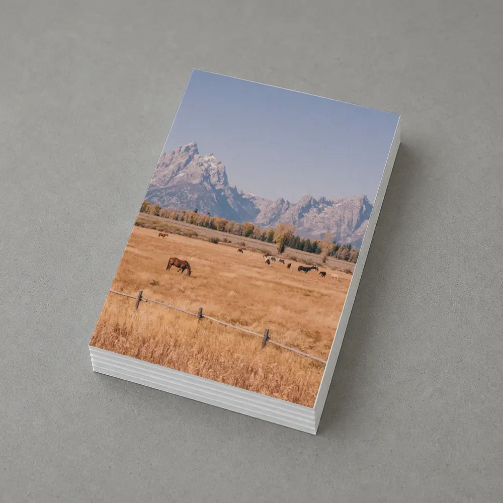 Horses Grazing Grand Teton Mountains Autumn – Postcards