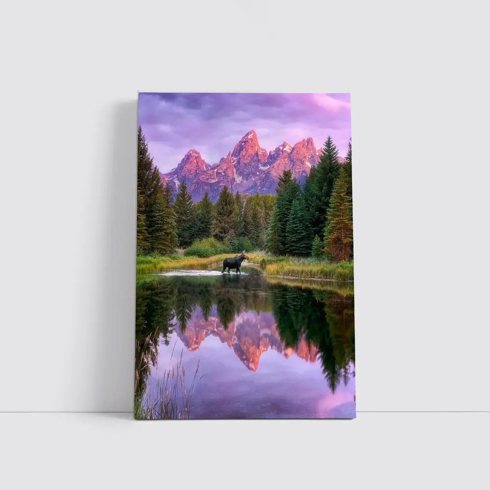 Moose Crossing River Grand Teton Mountains – Wall Art