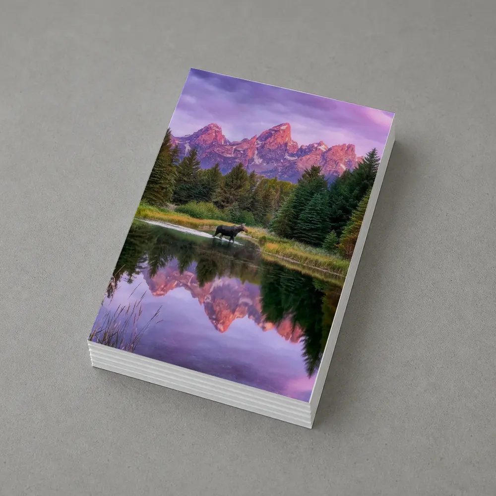 Moose Crossing River Grand Teton Mountains – Postcards