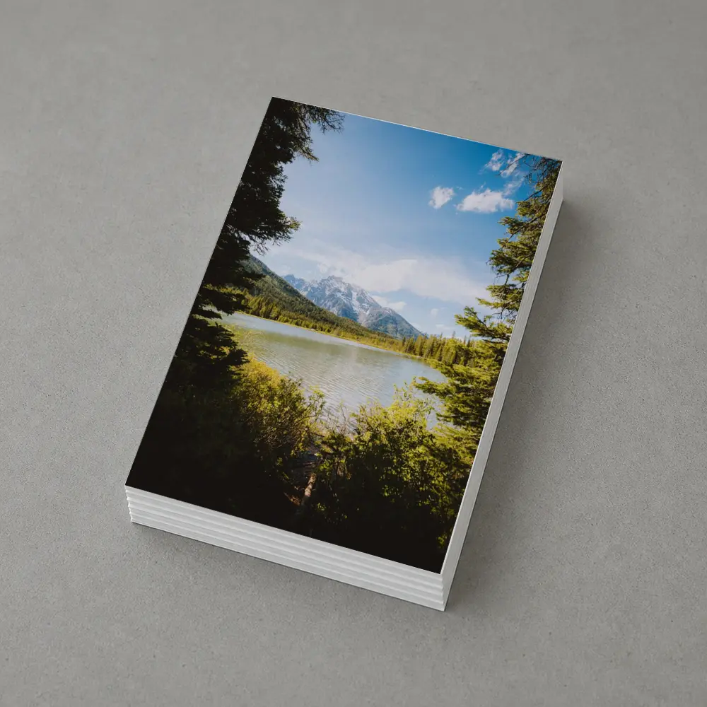 Mountain Lake View Through Pine Trees – Postcards