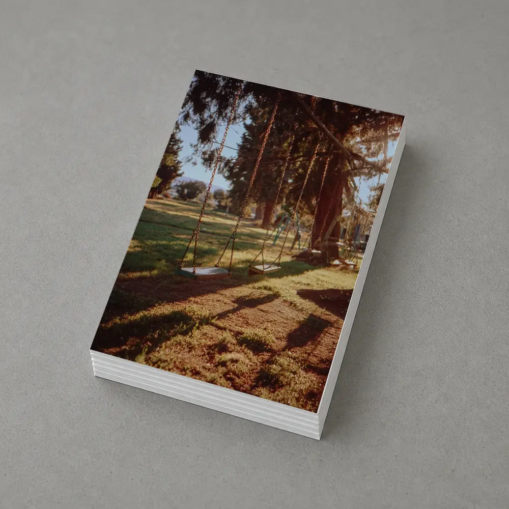 Empty Swings Park Trees Golden Sunlight – Postcards