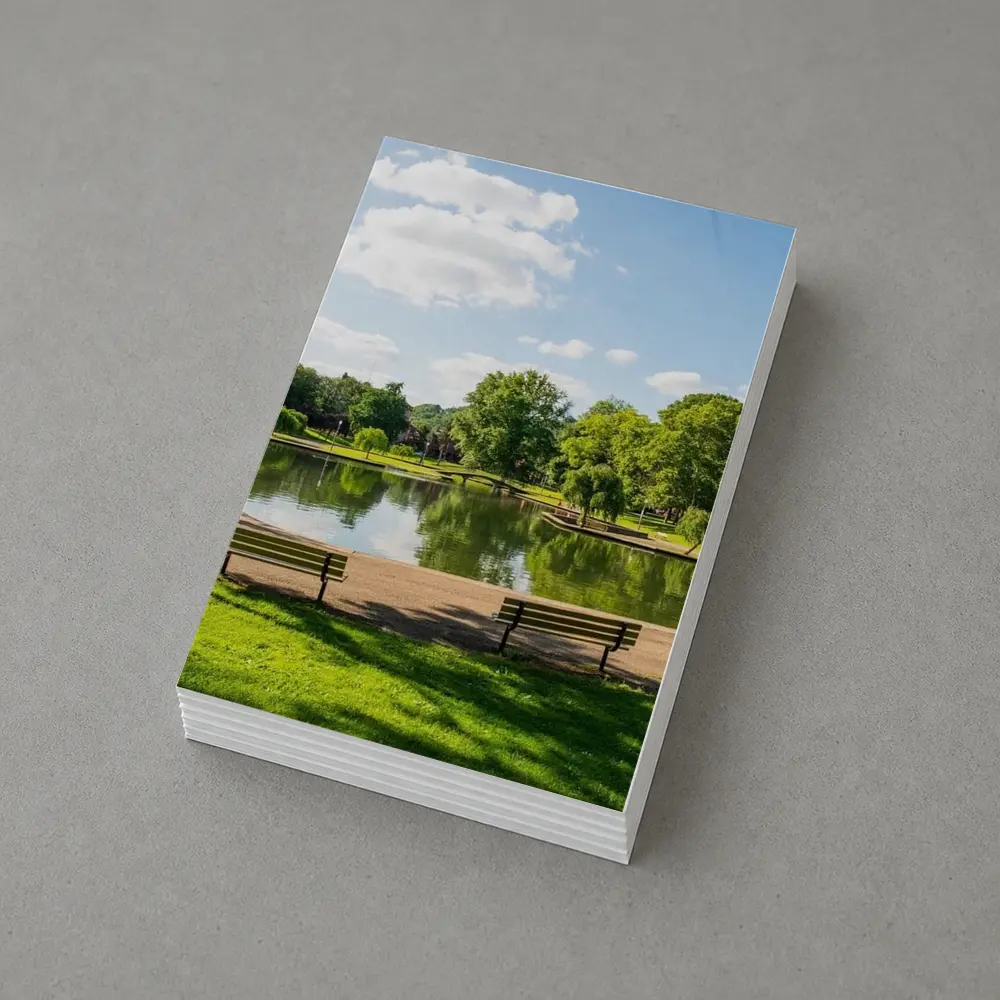Sunny Park Pond With Green Trees – Postcards
