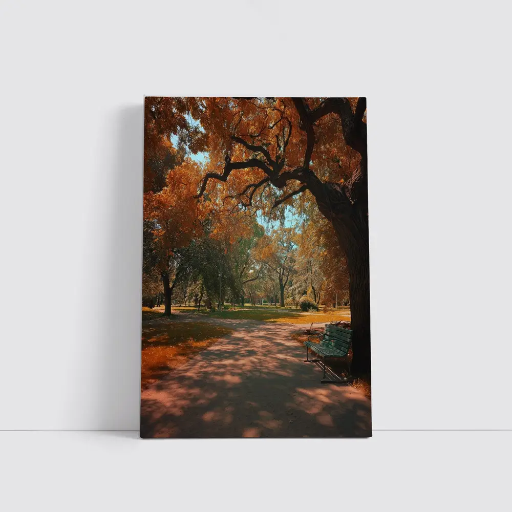 Autumn Park Path With Bench And Trees – Wall Art