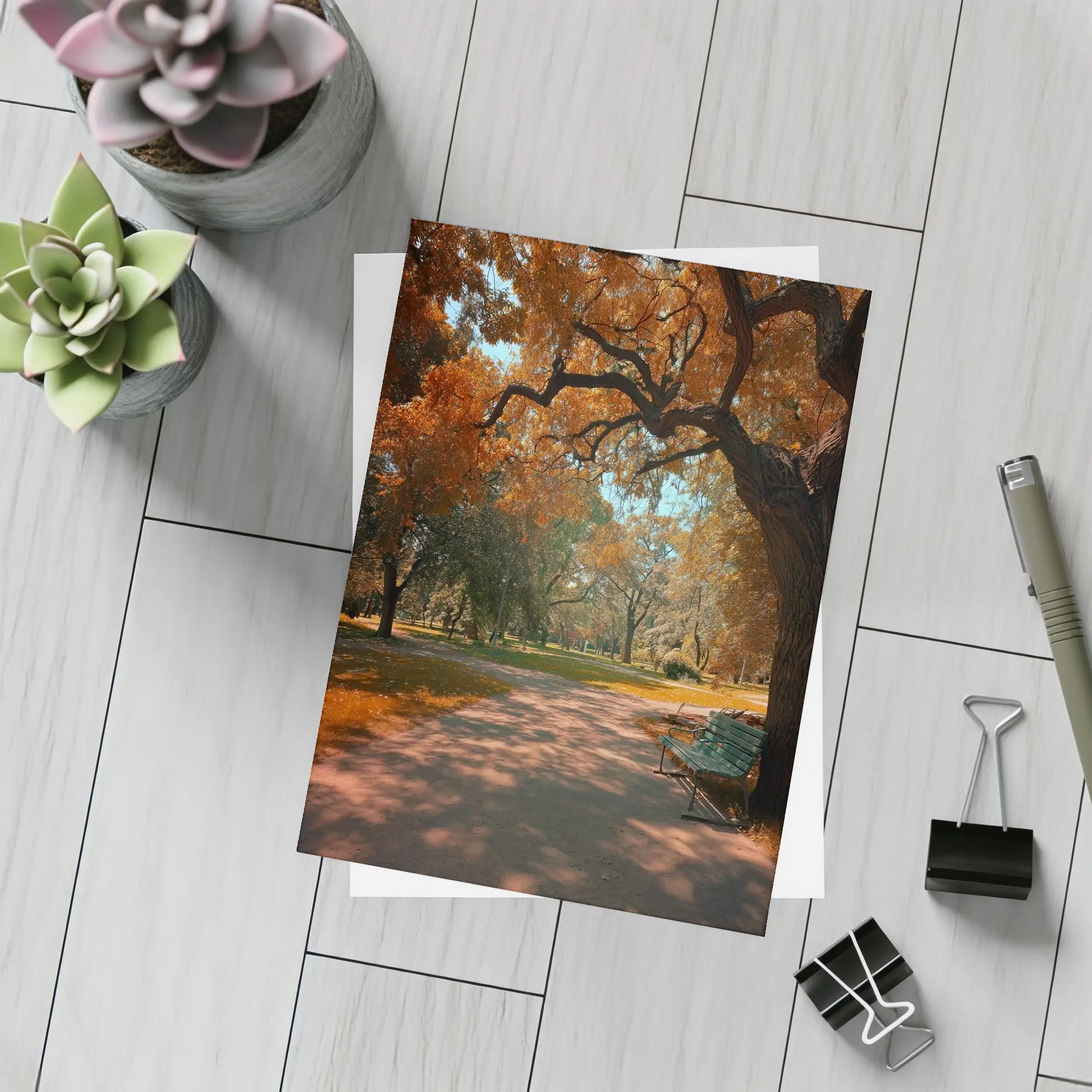 Autumn Park Path With Bench And Trees – Postcards