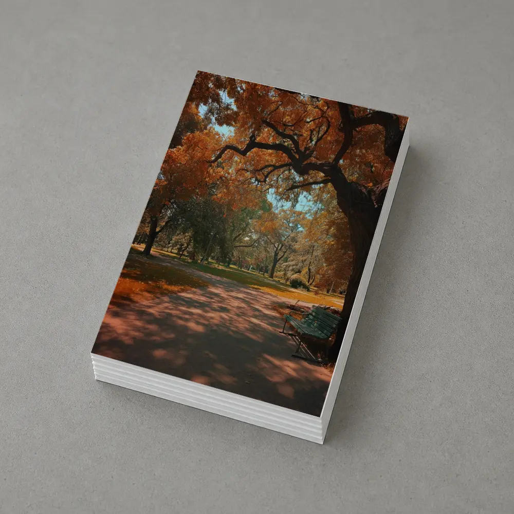 Autumn Park Path With Bench And Trees – Postcards