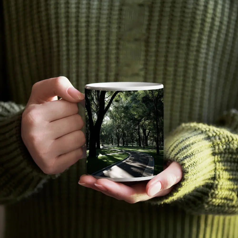 Shaded Park Path Through Tall Green Trees – Mugs