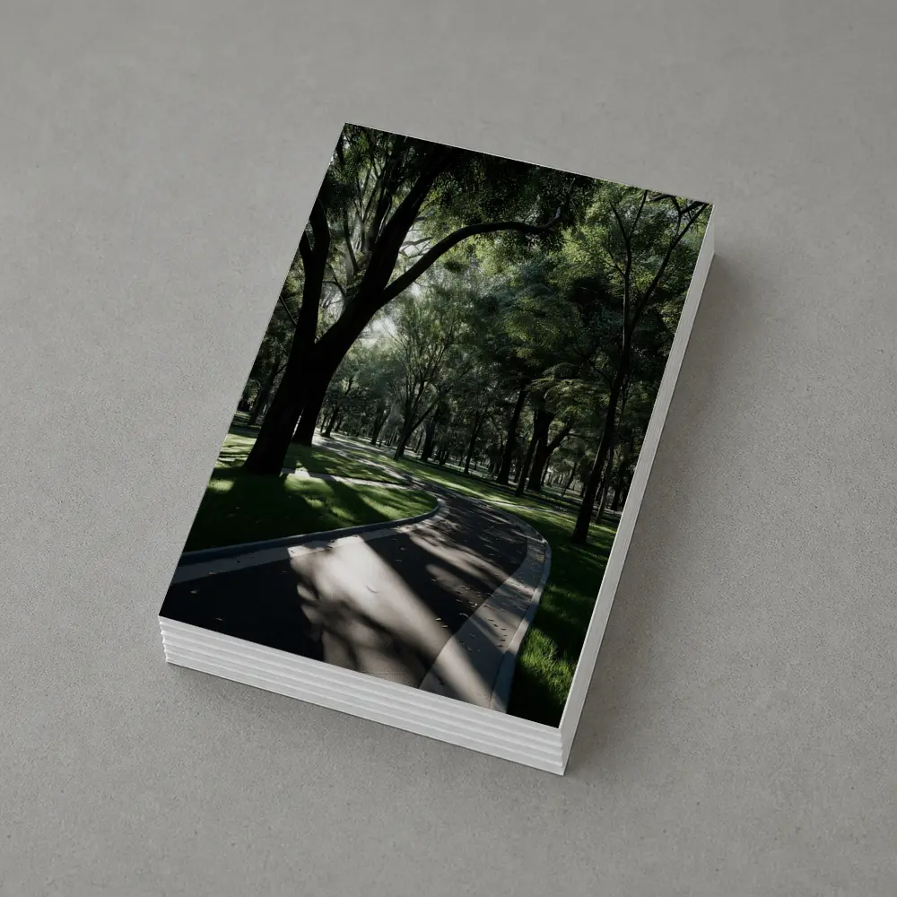 Shaded Park Path Through Tall Green Trees – Postcards
