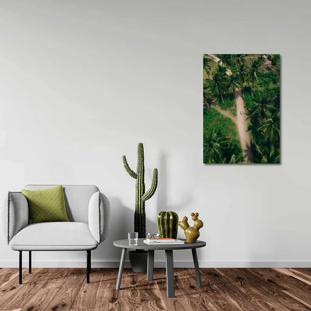Aerial Palm Tree Path Tropical Forest – Wall Art