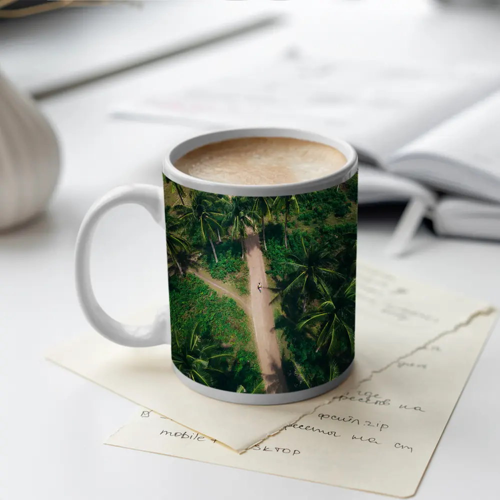 Aerial Palm Tree Path Tropical Forest – Mugs
