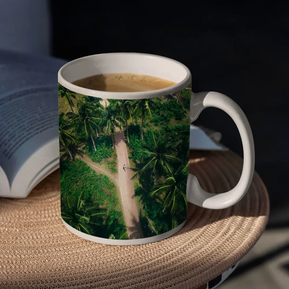 Aerial Palm Tree Path Tropical Forest – Mugs