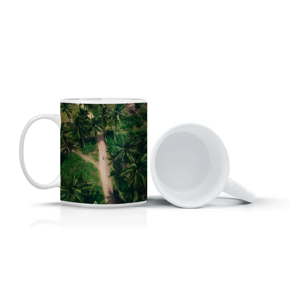 Aerial Palm Tree Path Tropical Forest – Mugs