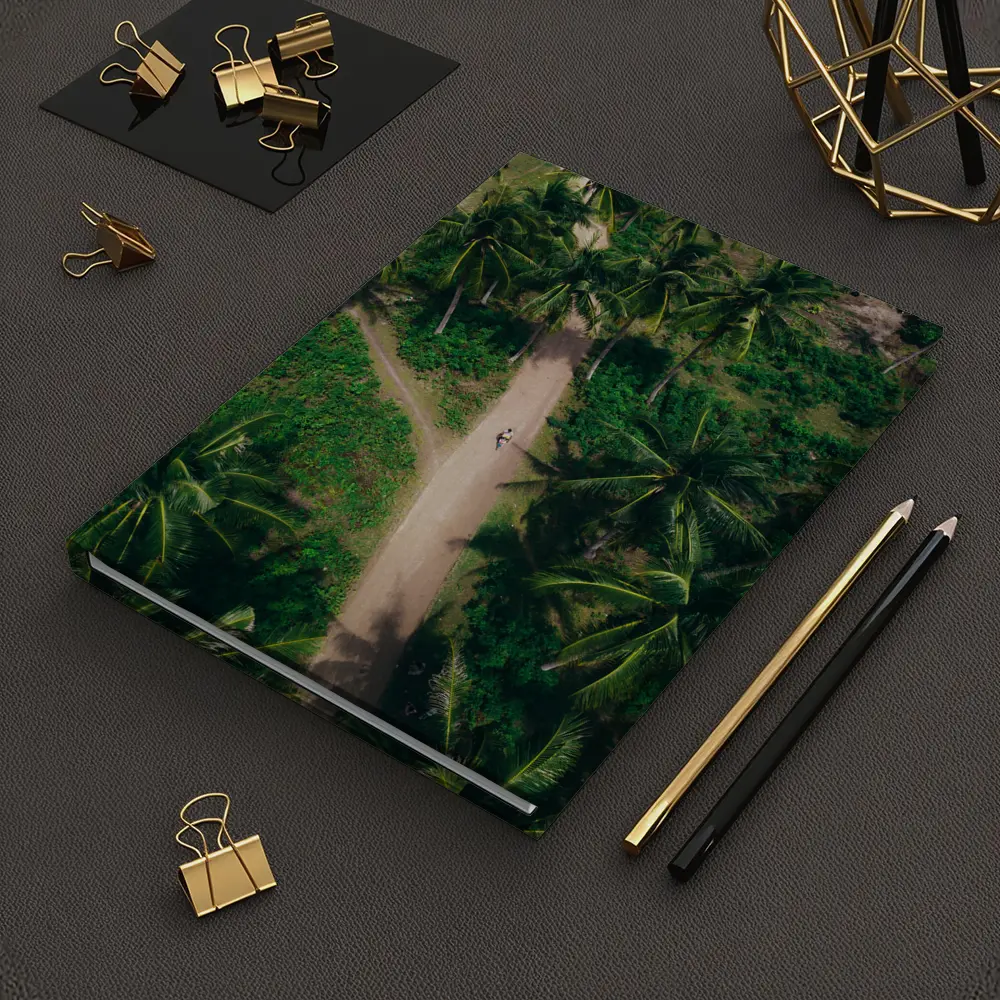 Aerial Palm Tree Path Tropical Forest – Notebooks