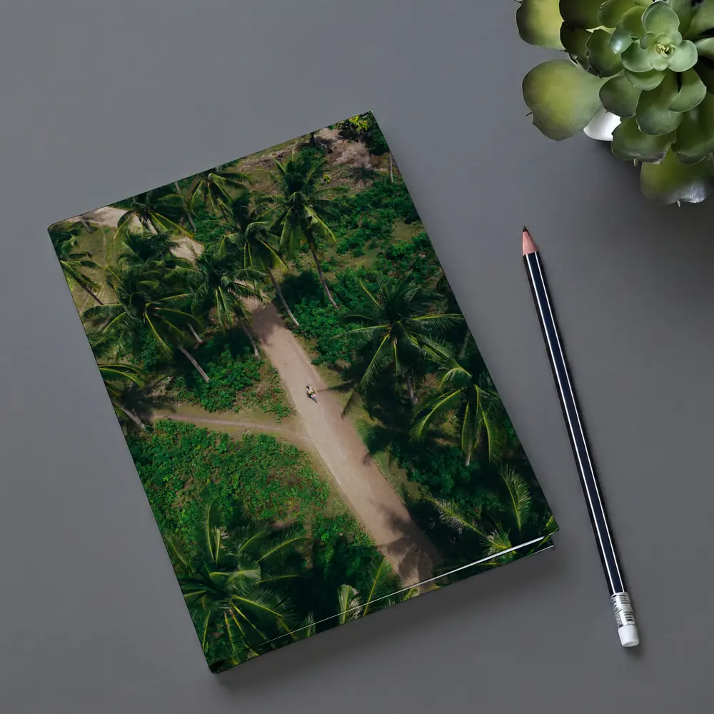 Aerial Palm Tree Path Tropical Forest – Notebooks