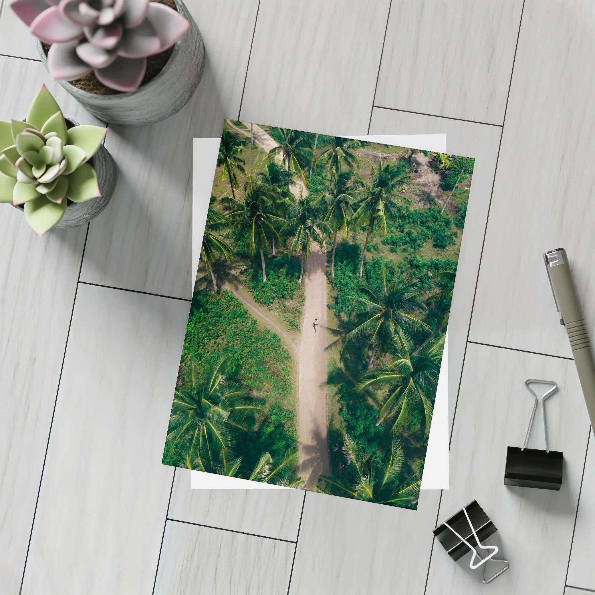 Aerial Palm Tree Path Tropical Forest – Postcards