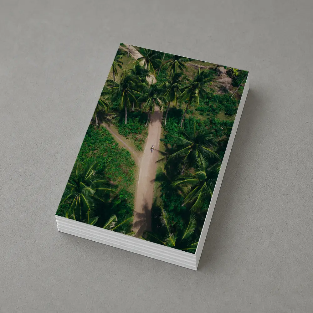 Aerial Palm Tree Path Tropical Forest – Postcards