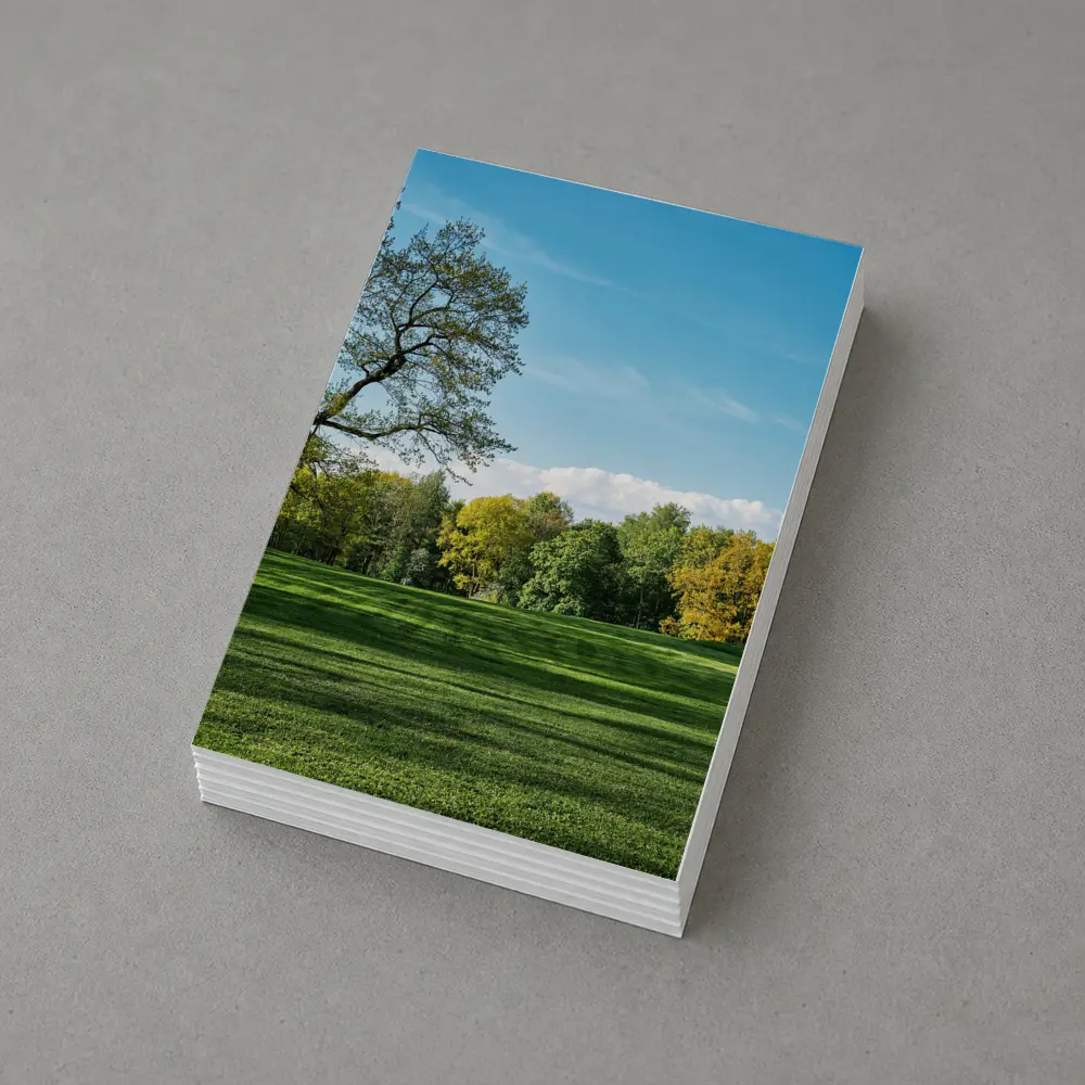 Green Park Meadow Blue Sky Trees – Postcards