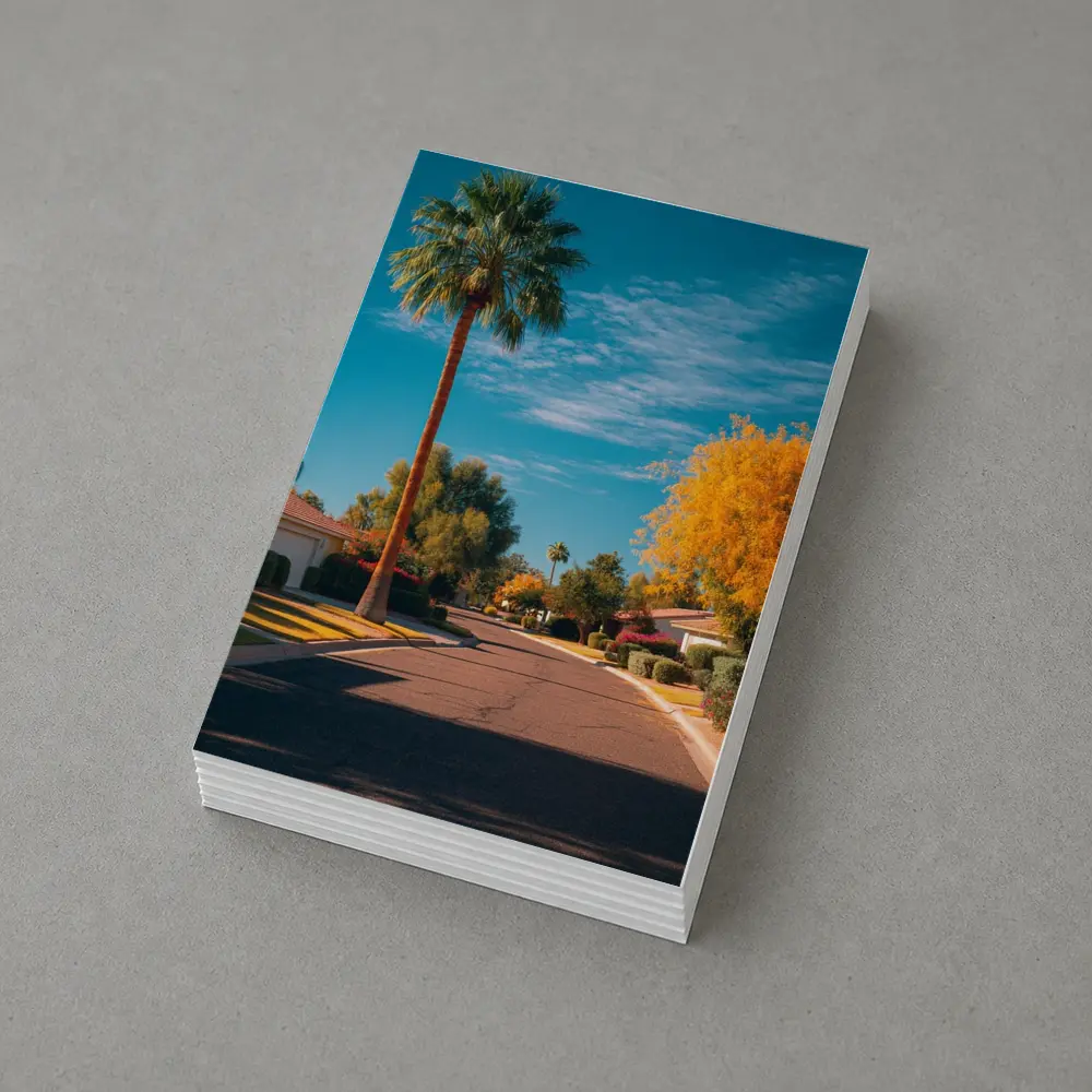 Palm Tree Suburban Street Blue Sky – Postcards