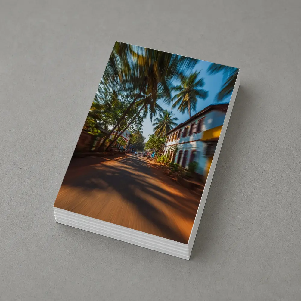 Tropical Street Road Palm Trees India – Postcards
