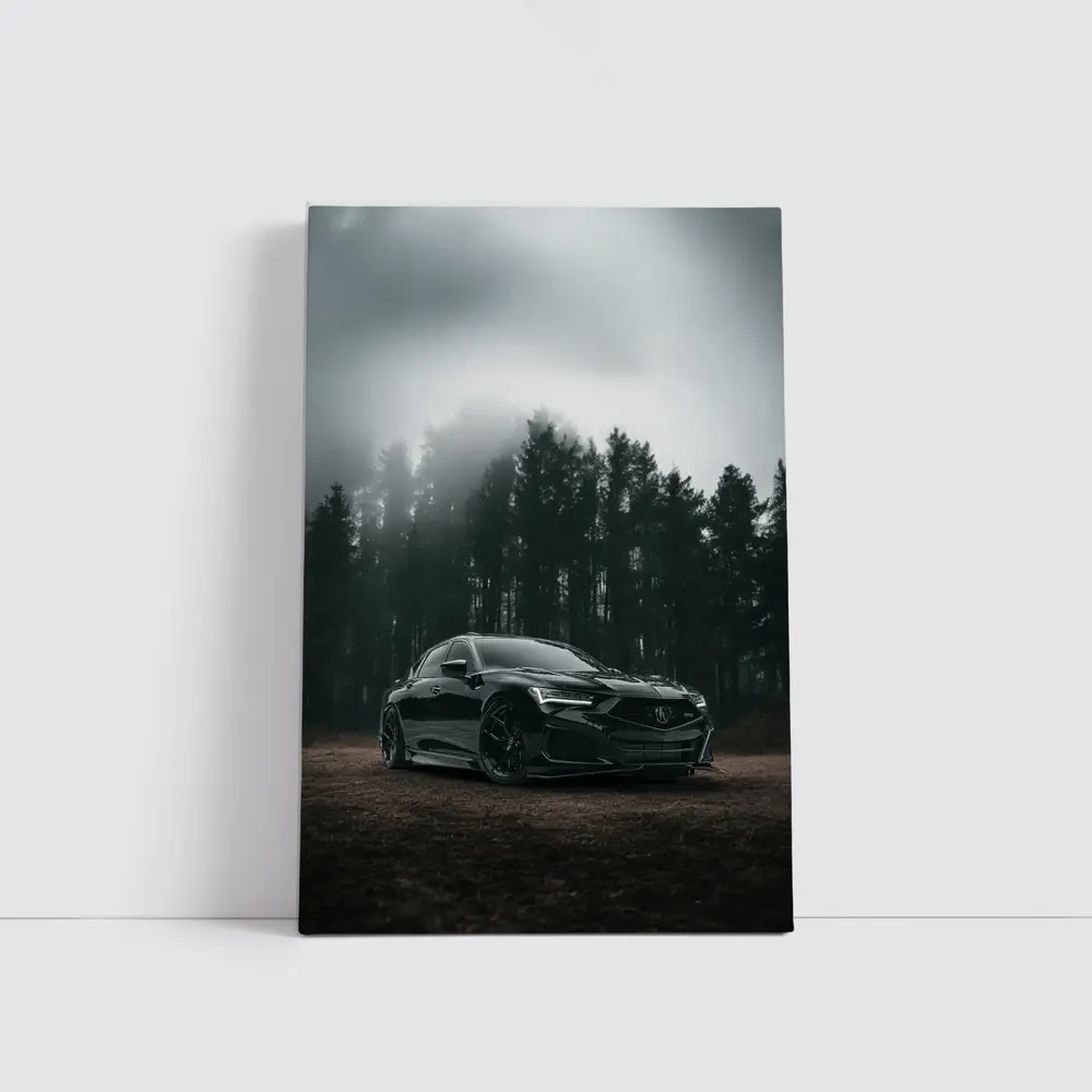 Acura TLX Black Sedan Foggy Forest – Wall Art