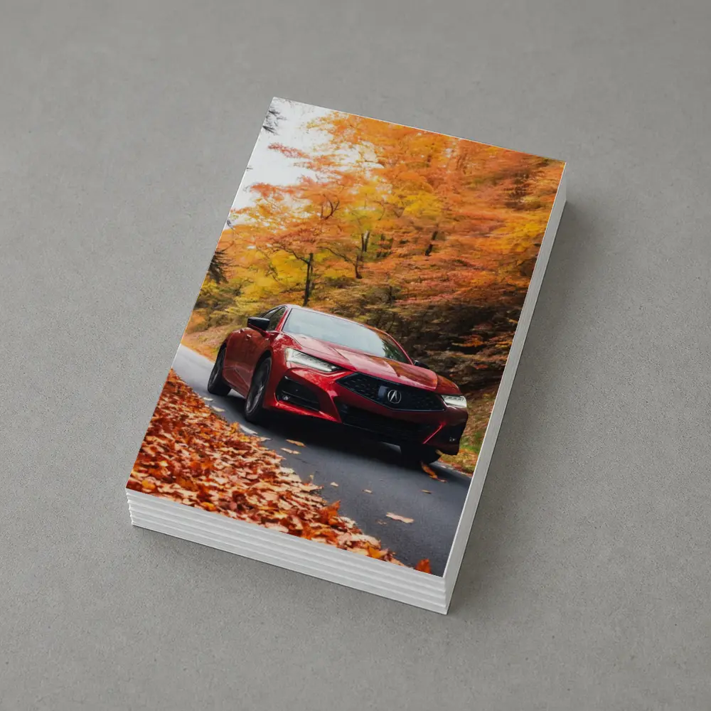 Acura TLX Red Sedan Autumn Forest Road – Postcards
