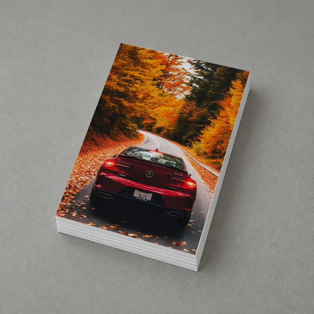 Acura TLX Red Car Autumn Forest Road – Postcards