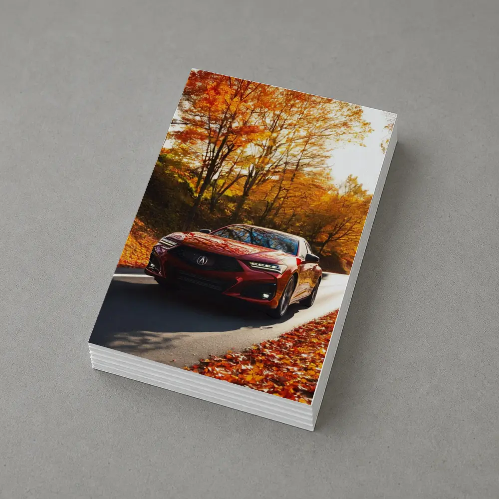 Acura TLX Red Sedan Autumn Forest Road – Postcards