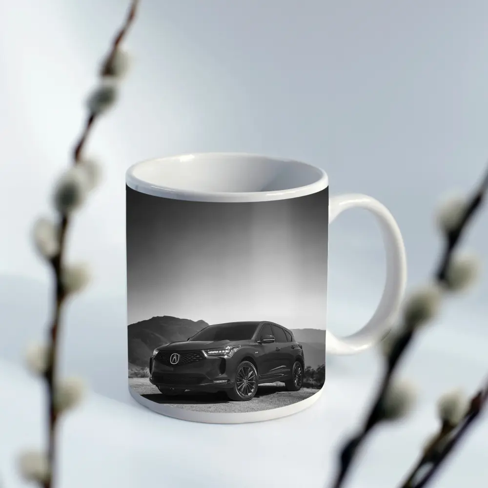 Acura MDX Black White Mountain Desert Scene – Mugs