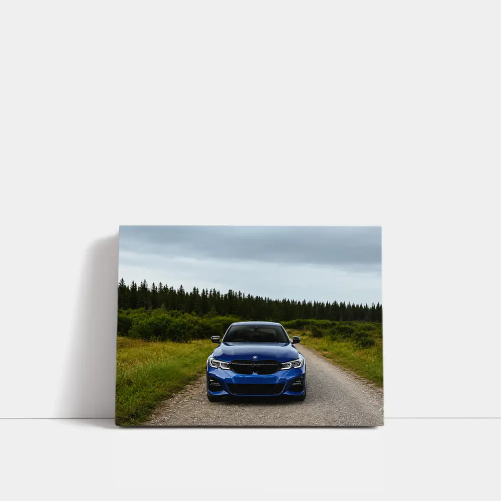 BMW 3 Series Blue Sedan Forest Road – Wall Art