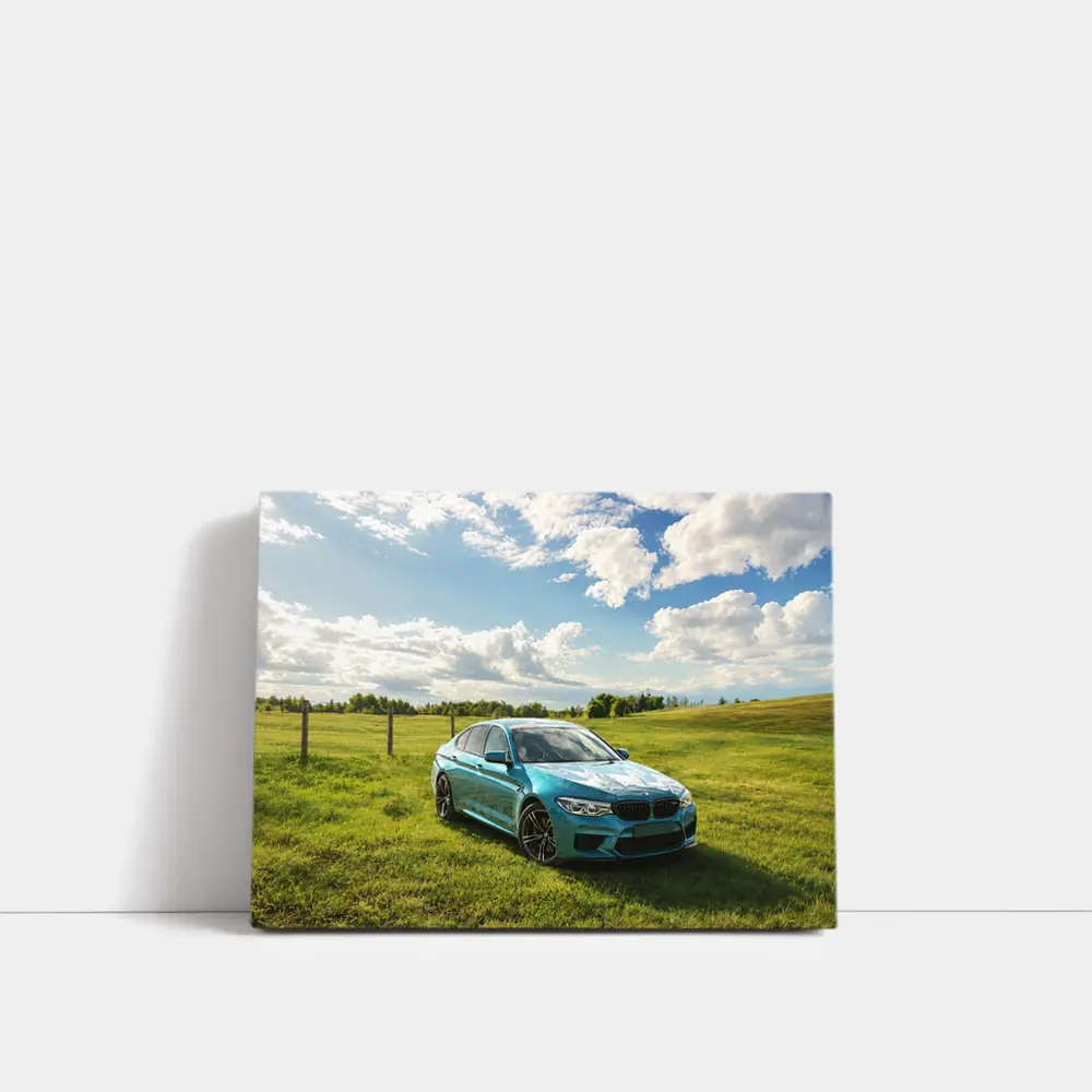 BMW M5 Sedan Parked On Green Field – Wall Art