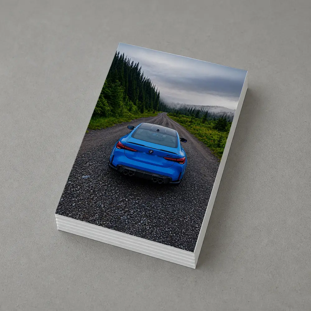 BMW M4 Blue Forest Mountain Road Rear – Postcards