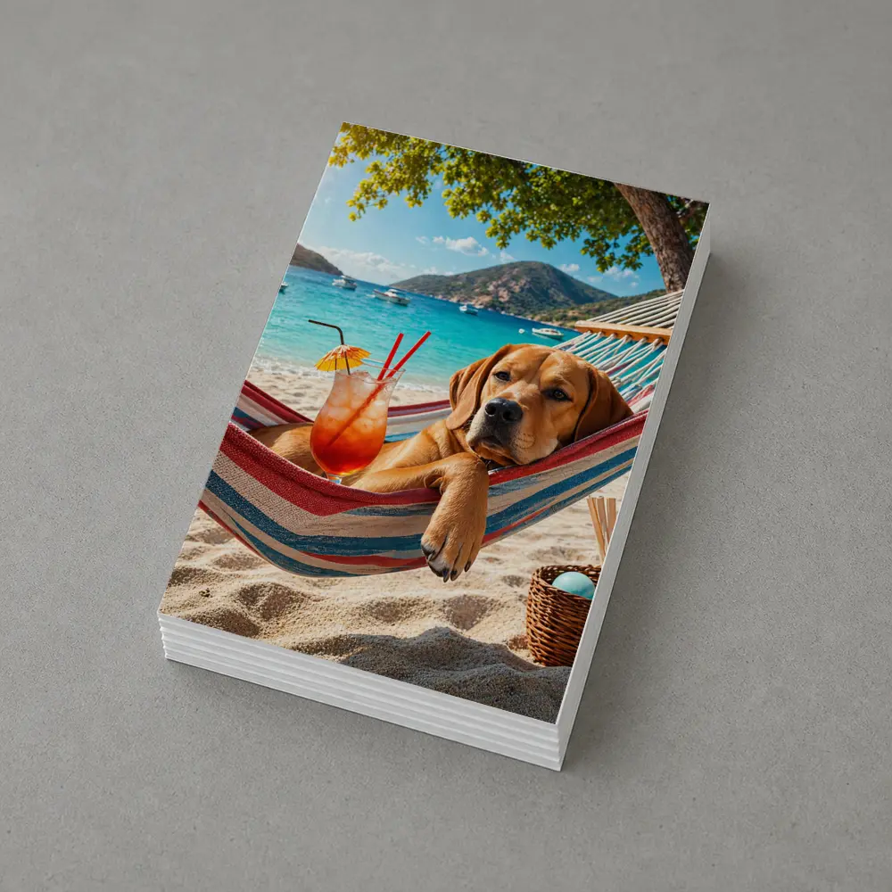 Labrador Relaxing in Beach Hammock with Cocktail – Postcards