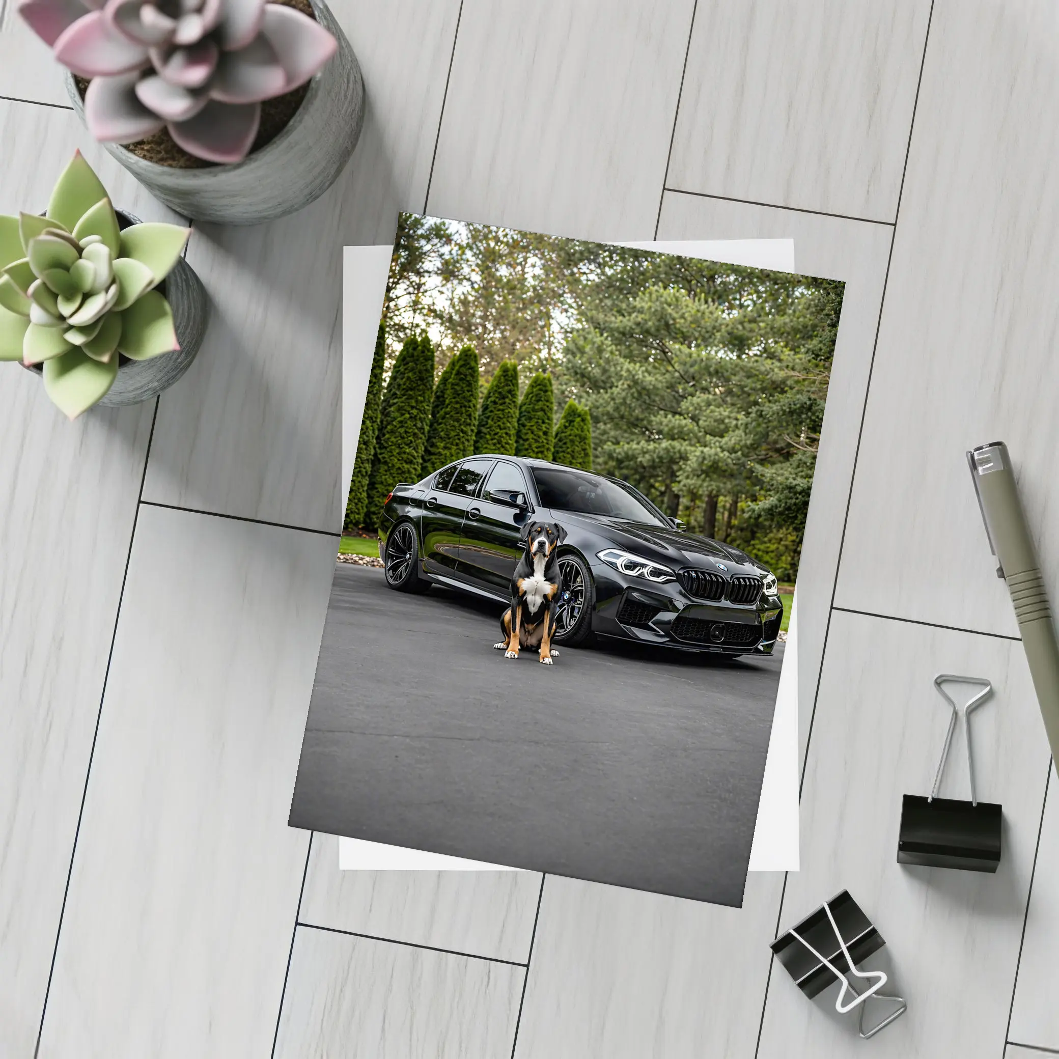Black BMW M5 Sedan With Dog – Postcards