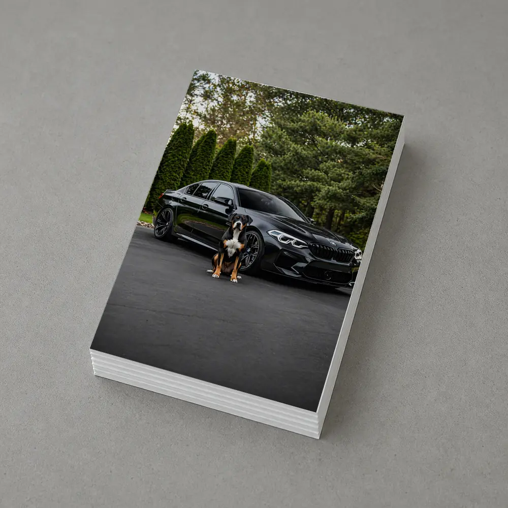 Black BMW M5 Sedan With Dog – Postcards