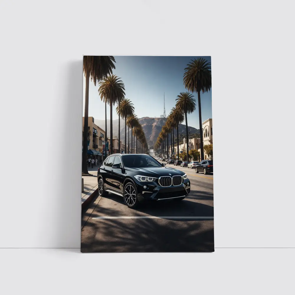 Black BMW X1 Hollywood Palm Tree Street – Wall Art
