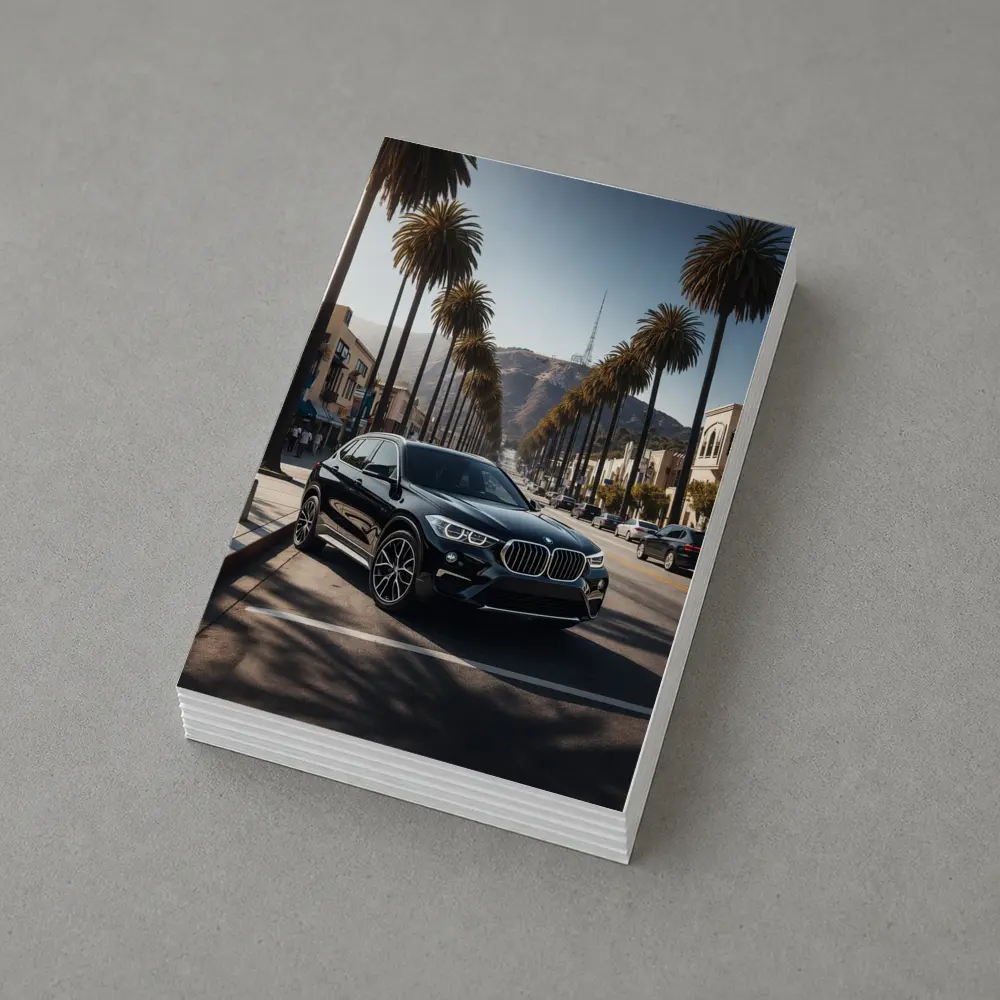 Black BMW X1 Hollywood Palm Tree Street – Postcards
