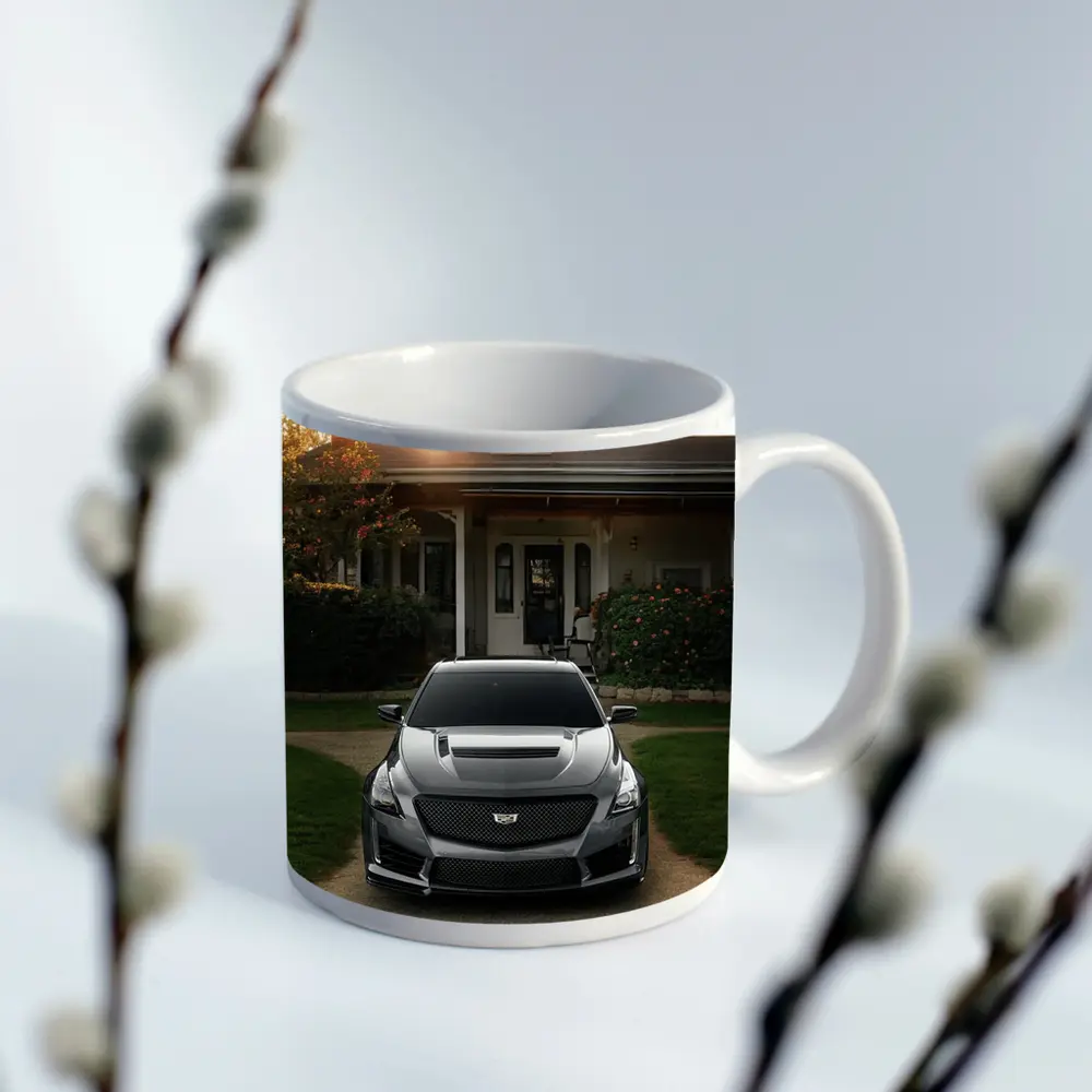 Cadillac CTS Gray Car Village Driveway – Mugs